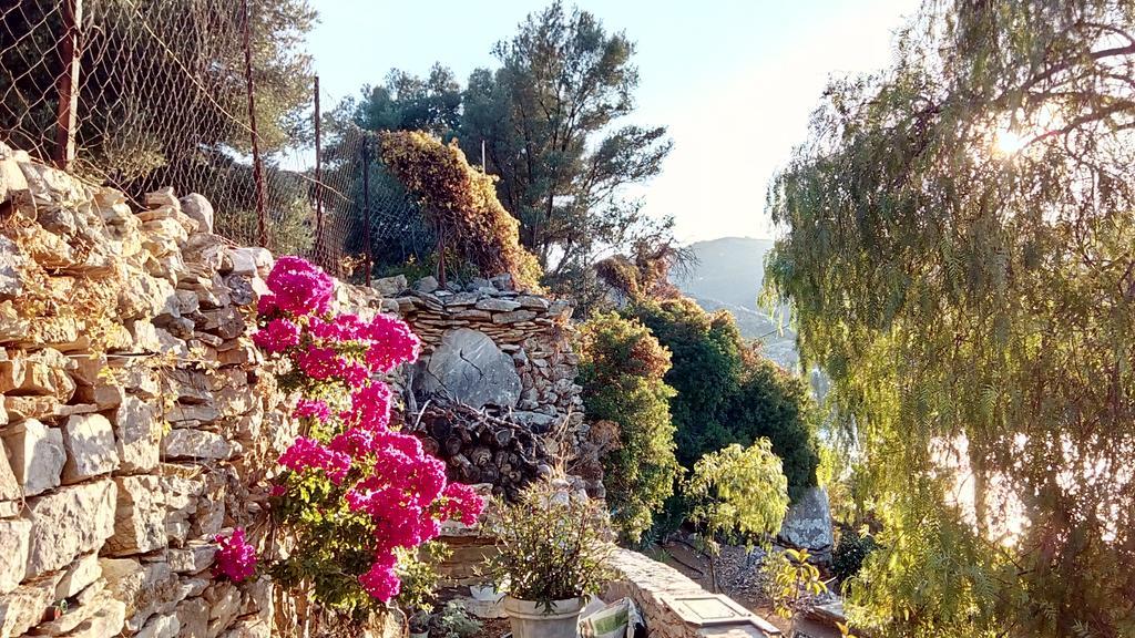 Emporio Hotel Symi Bagian luar foto